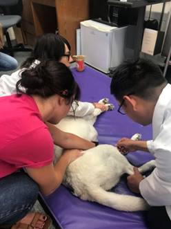 beats365唯一官网入口官网