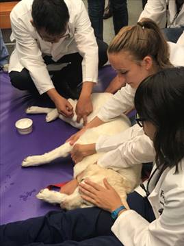 beats365唯一官网入口官网