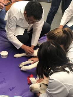 beats365唯一官网入口官网