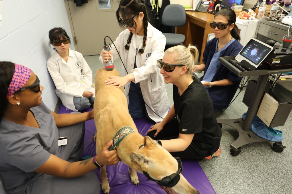 beats365唯一官网入口官网