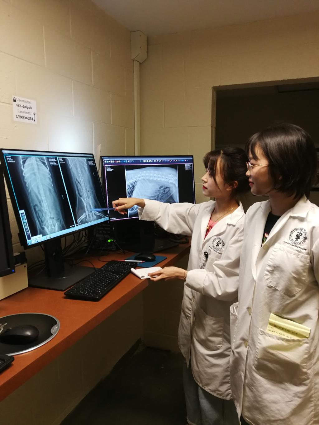 beats365唯一官网入口官网