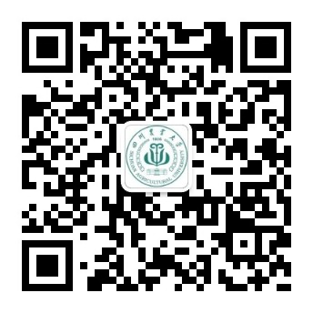 beats365唯一官网入口官网