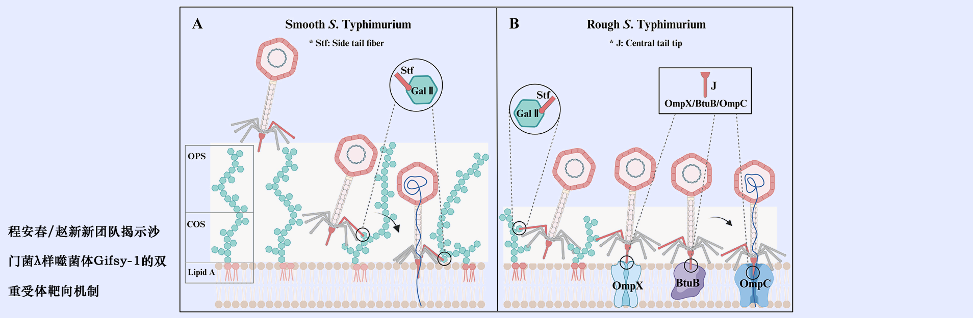 beats365唯一官网入口官网
