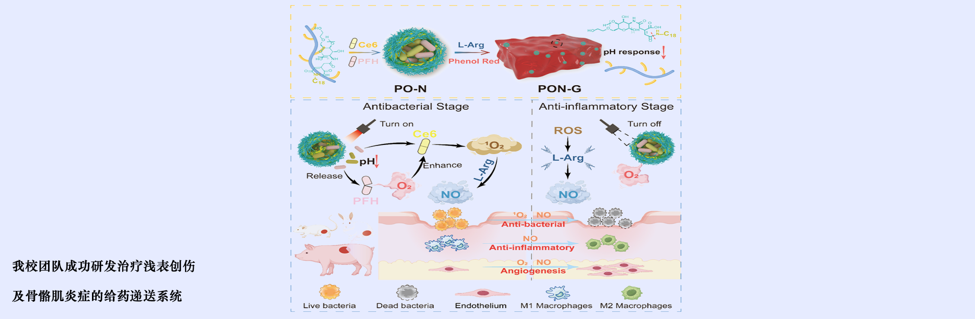 beats365唯一官网入口官网